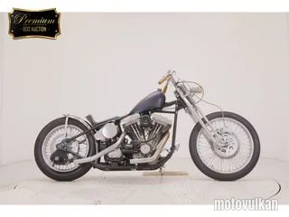  UNREGISTERED MODEL by BDS1330