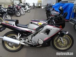 Yamaha Fzr250