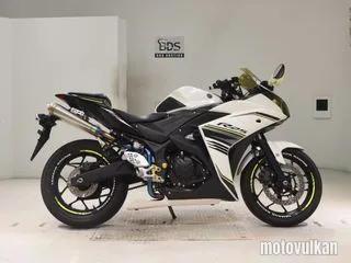 Yamaha YZF-R25