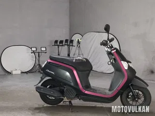 Honda Dunk