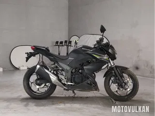 Kawasaki Z250