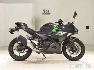 Kawasaki NINJA250-2