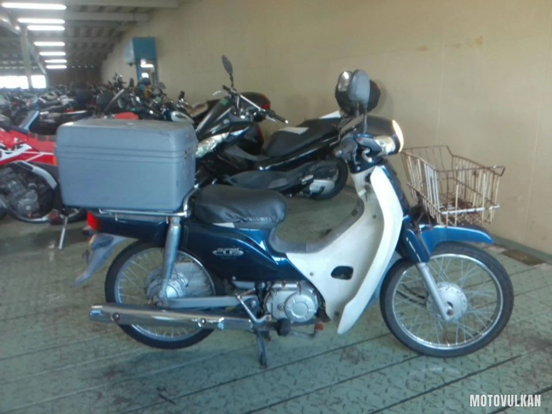Honda Super Cub50