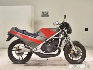 Suzuki RG250 GAMMA