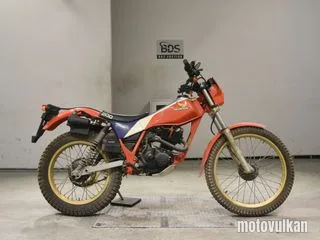 Honda TLR200