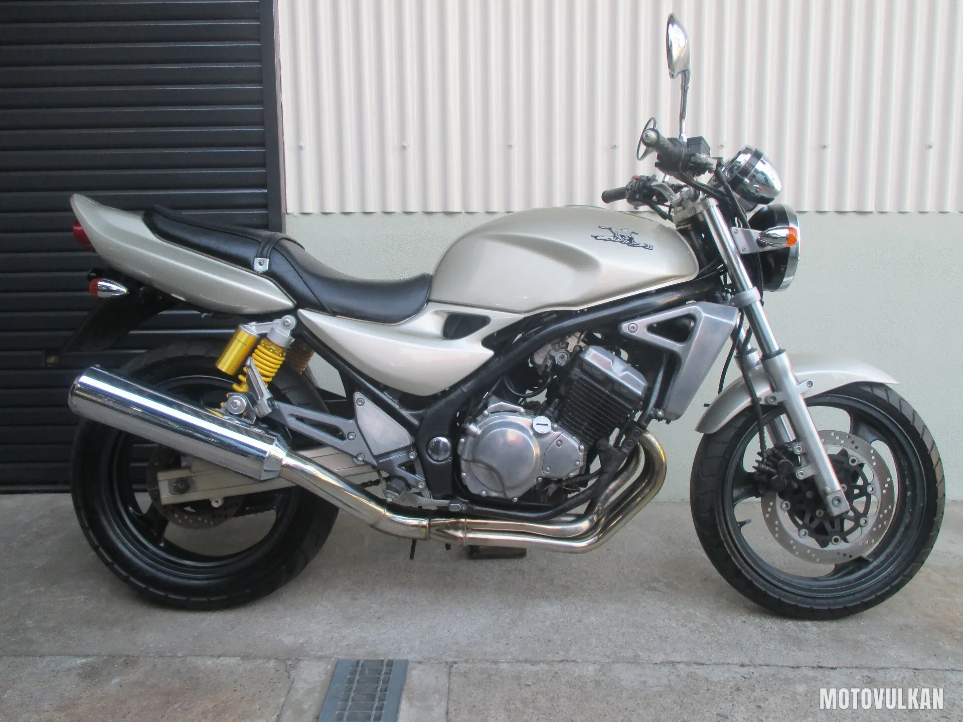 Kawasaki Balius2