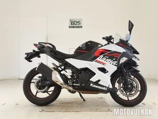 Kawasaki NINJA250-2