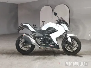 Kawasaki Z250