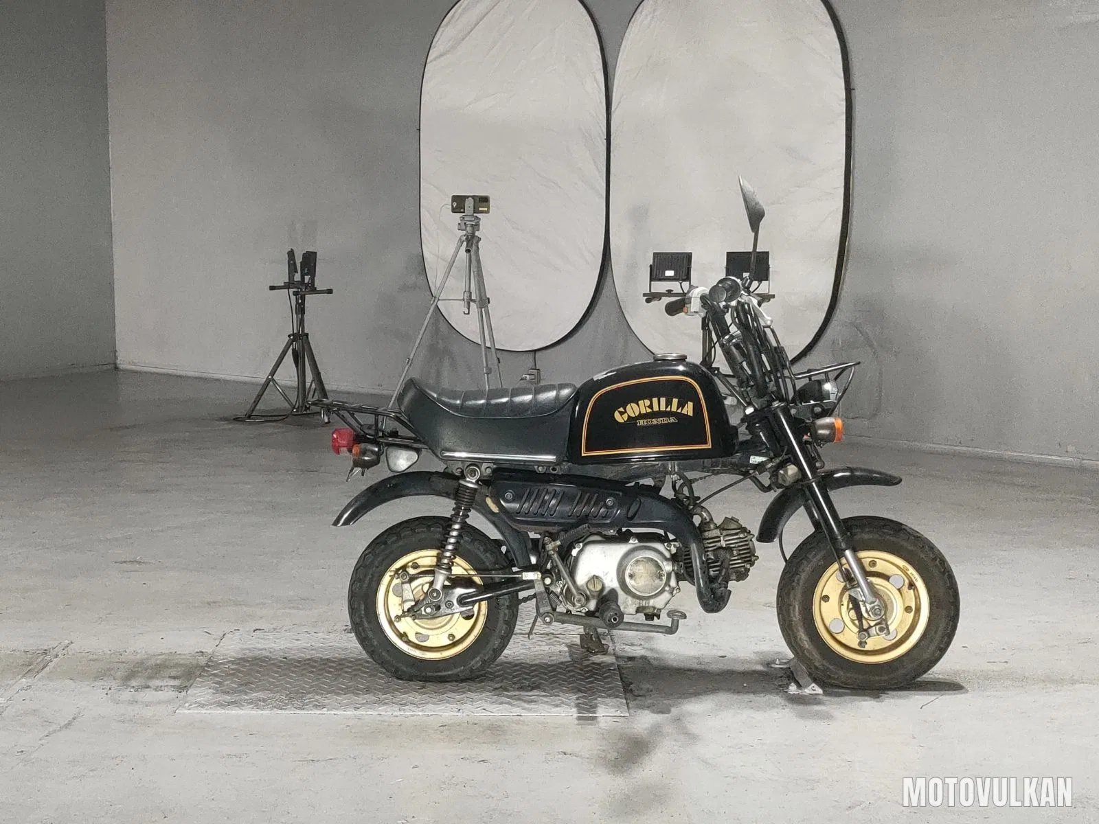 Honda Gorilla