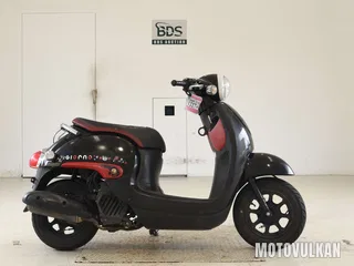 Honda GIORNO-3