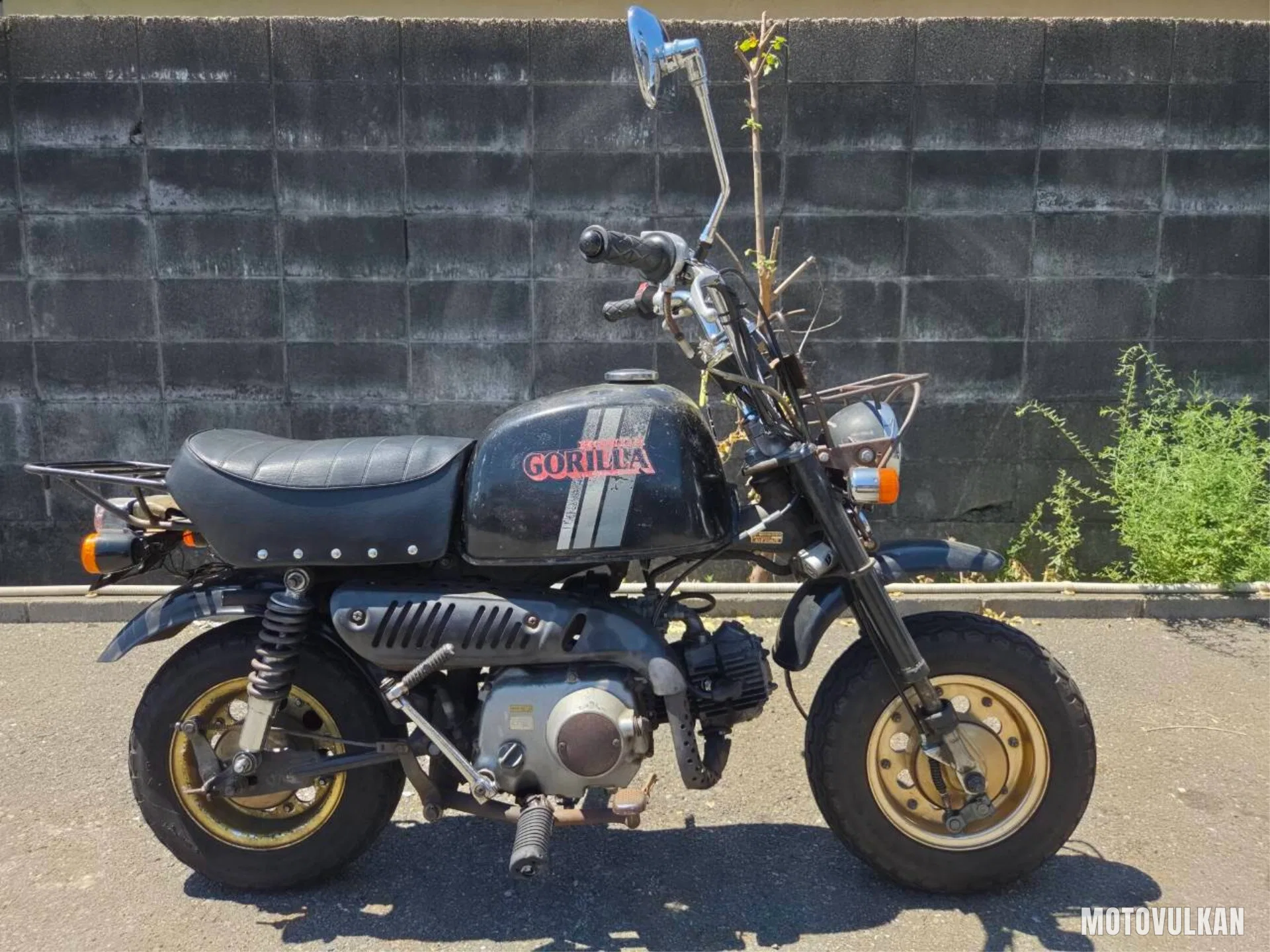 Honda Gorilla