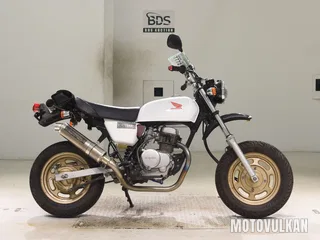 Honda APE50