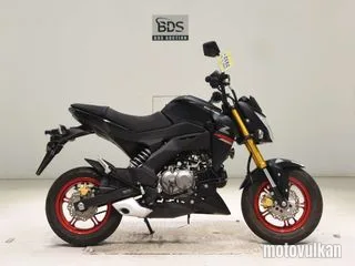 Kawasaki Z125PRO