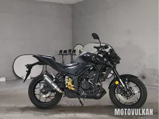 Yamaha MT-25